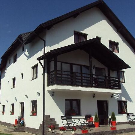 Pensiunea Vasilica Ceterasu Oncesti (Maramures) Ngoại thất bức ảnh
