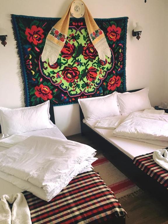 Pensiunea Vasilica Ceterasu Oncesti (Maramures) Ngoại thất bức ảnh