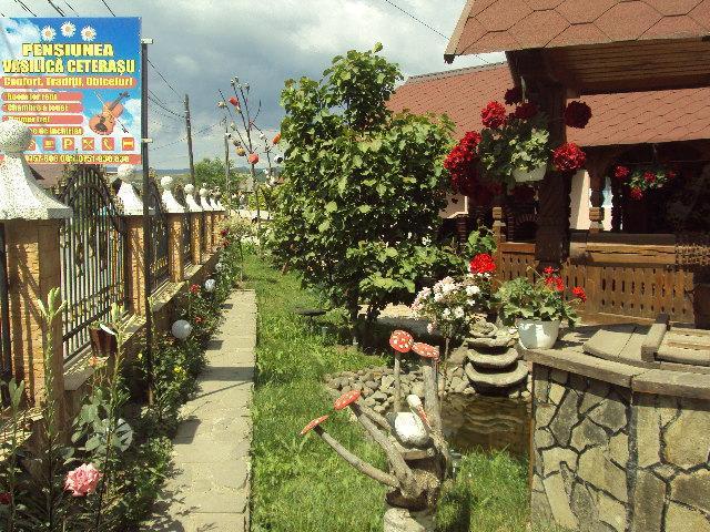 Pensiunea Vasilica Ceterasu Oncesti (Maramures) Ngoại thất bức ảnh