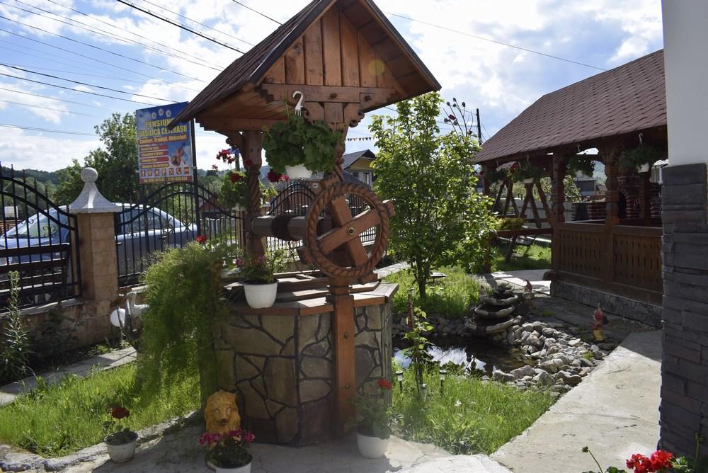 Pensiunea Vasilica Ceterasu Oncesti (Maramures) Ngoại thất bức ảnh